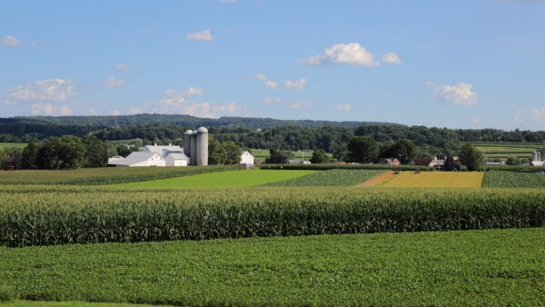 Mastriano Announces $1.3 Million to Preserve 520 Acres of Farmland in Adams and Franklin Counties