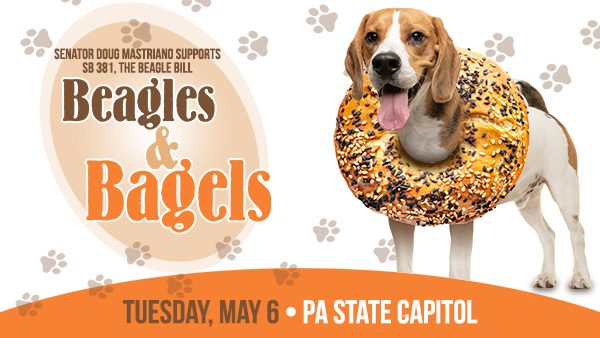 Mastriano to Host Beagles and Bagels Event on May 6